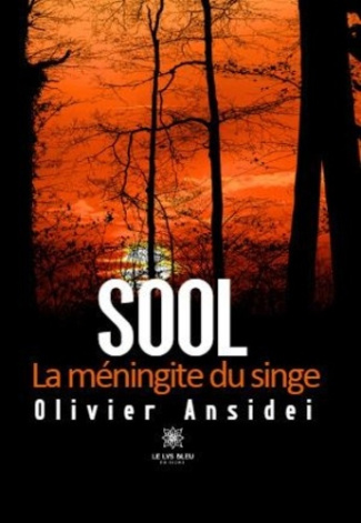 sool-la-meningite-du-singe_0