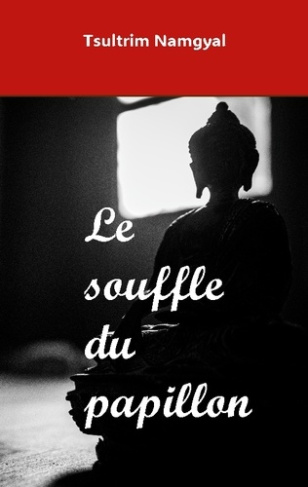 souffle-du-papillon_0