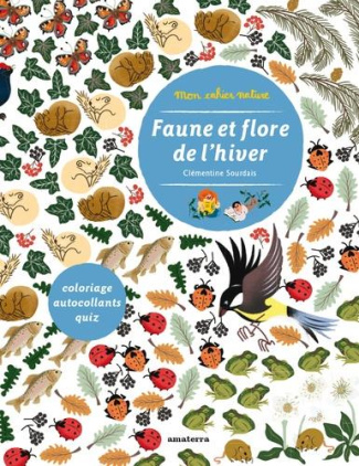 sourdais-clementine-faune-et-flore-de-l-hiver_0