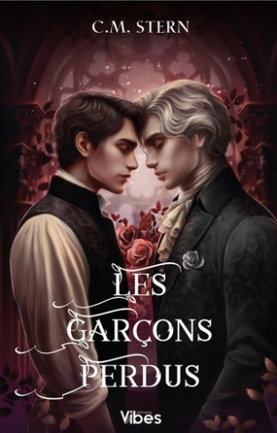 stern-c-m-les-garcons-perdus-t2_0