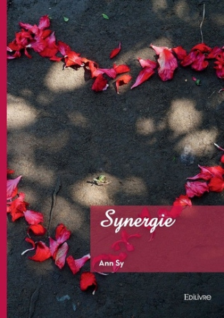 sy-ann-synergie_0