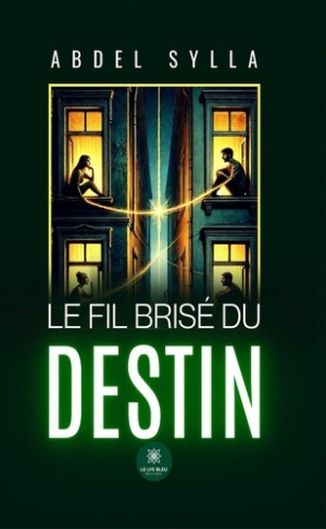 sylla-abdel-le-fil-brise-du-destin_0