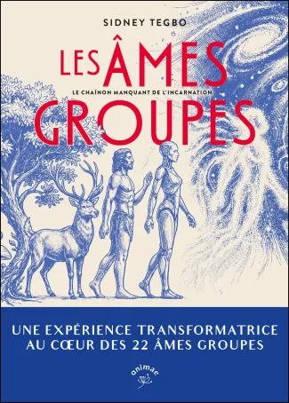 tegbo-sidney-les-ames-groupes_0