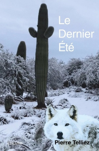 telliez-pierre-le-dernier-ete-tome-1_0