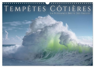 tempetes-cotieres-la-puissance-brute-des-vagues-calendrier-mural-2026-din-a3-vertical-calvendo_0