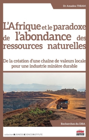 thiam-amadou-l-afrique-et-le-paradoxe-de-l-abondance-des-ressources-naturelles-de-la-creation-d-une-chaine-de-va_0