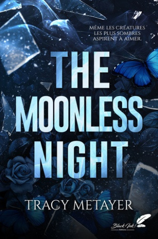 tracy-metayer-the-moonless-night_0