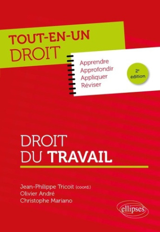 tricoit-jean-philippe-andre-olivier-mariano-ch-droit-du-travail_0