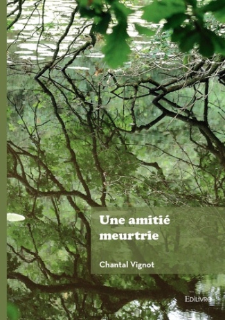 une-amitie-meurtrie_0