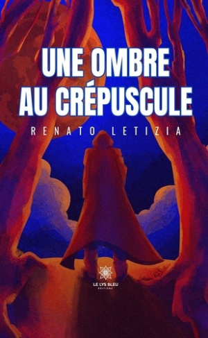 une-ombre-au-crepuscule_0