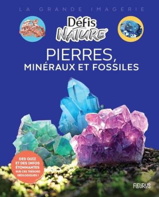 vallot-damien-pierres-mineraux-et-fossiles_0
