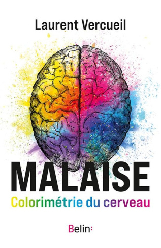 vercueil-laurent-malaise-colorimetrie-du-cerveau_0
