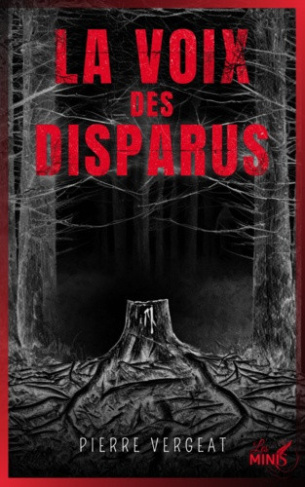 vergeat-pierre-la-voix-des-disparus_0