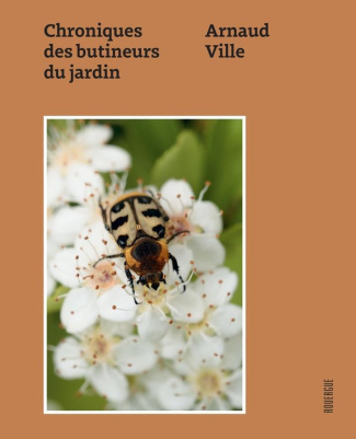 ville-arnaud-les-pollinisateurs_0