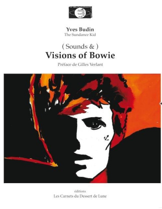 visions-of-bowie_0