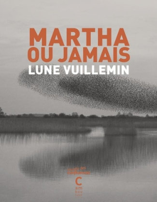 vuillemin-lune-martha-ou-jamais_0