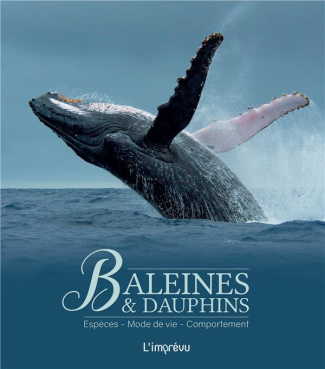 wandrey-rudiger-3b-cadene-cecile-baleines-et-dauphins-especes-mode-de-vie-comportement_0