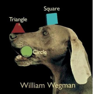 wegman-william-william-wegman-triangle-carre-cercle-triangle-square-circle_0