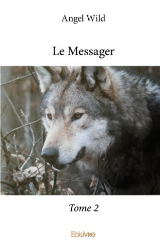 wild-angel-le-messager-tome-2-tome-2_0