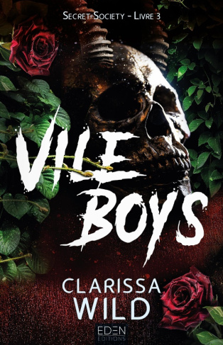 wild-clarissa-secret-society-t3-vile-boys_0