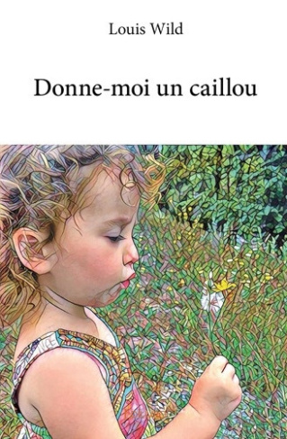 wild-louis-donne-moi-un-caillou_0