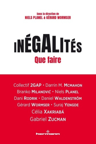 wormser-gerard-planel-niels-inegalites-que-faire_0