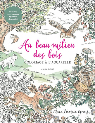 xxx-au-beau-milieu-des-bois-carnet-de-coloriages-forestiers_0