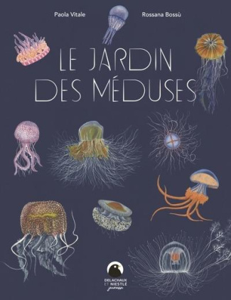 xxx-jardin-des-meduses_0