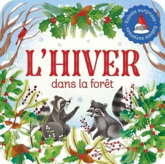 xxx-rabats-surprises-l-hiver-dans-la-foret_0