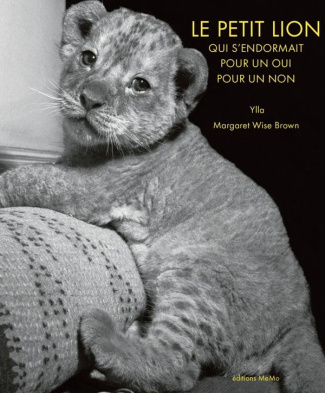ylla-wise-brown-le-petit-lion_0