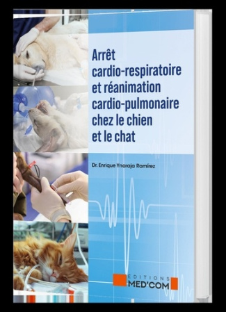 ynaraja-ramirez-enrique-arret-cardio-respiratoire-et-reanimation-cardio-pulmonaire_0
