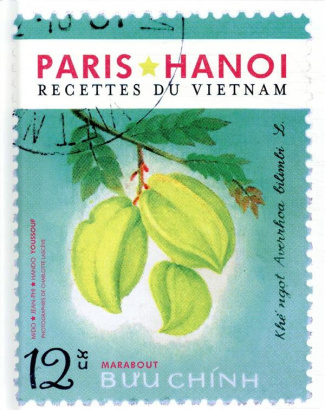 youssouf-hando-3b-youssouf-mido-3b-youssouf-jean-phi-paris-hanoi-recettes-traditionnelles-familiales-vietnamiennes_0