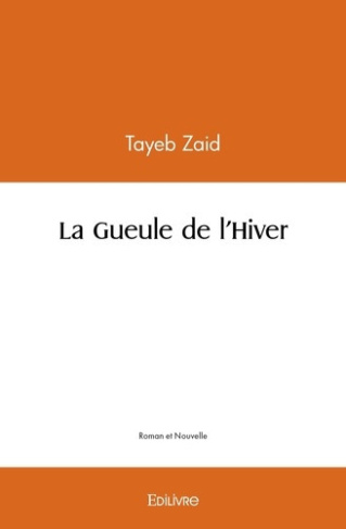 zaid-tayeb-la-gueule-de-l-hiver_0