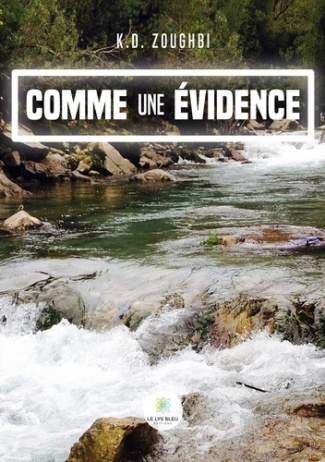 zoughbi-k-d-comme-une-evidence_0