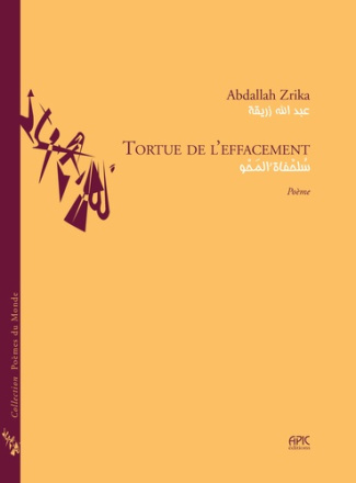 zrika-abdallah-tortue-de-l-effacement_0