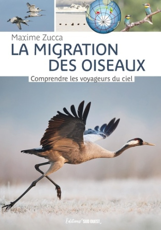 zucca-maxime-la-migration-des-oiseaux-comprendre-les-voyageurs-du-ciel_0
