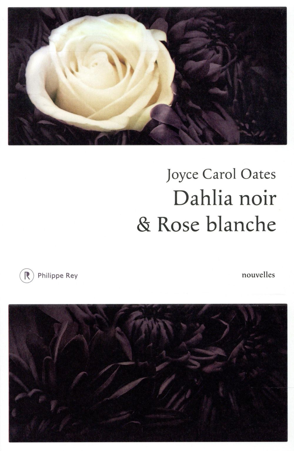 Dahlia noir et Rose blanche