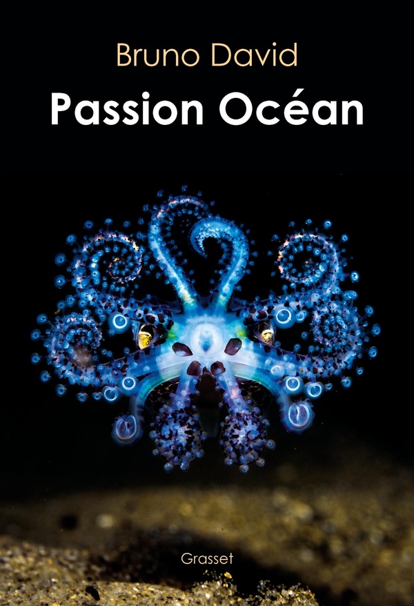 Passion océan