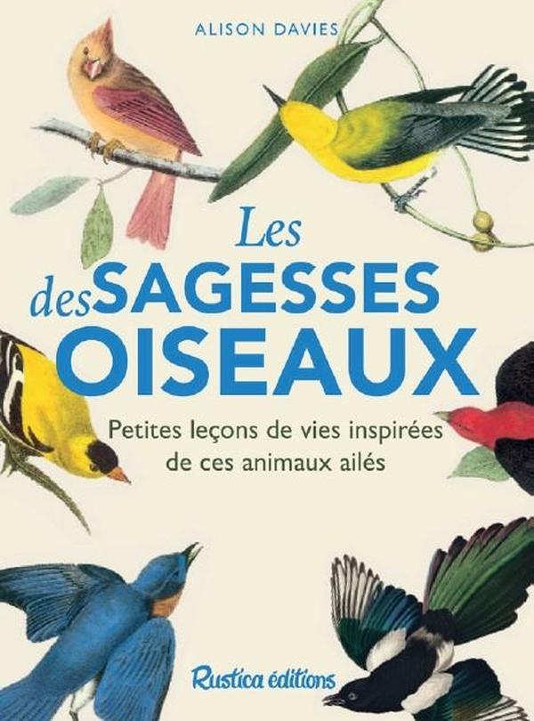 Les sagesses des oiseaux