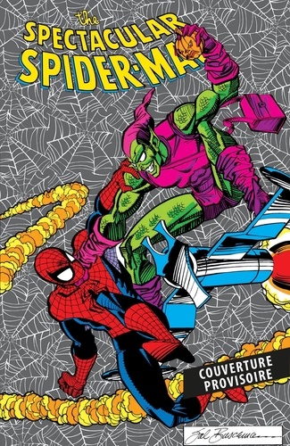 Spectacular Spider-Man par Dematteis et Buscema (Omnibus)