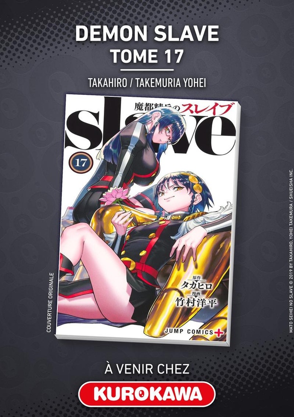 Demon Slave Tome 17