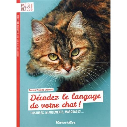 Décodez le langage de votre chat ! Postures, miaulements, marquages...