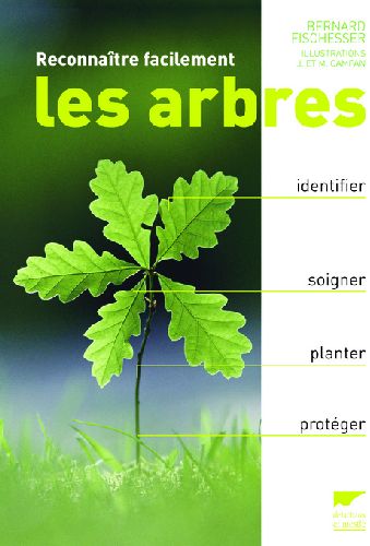 Reconnaître facilement les arbres