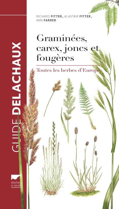 Graminées, carex, joncs et fougères. Toutes les herbes d'Europe