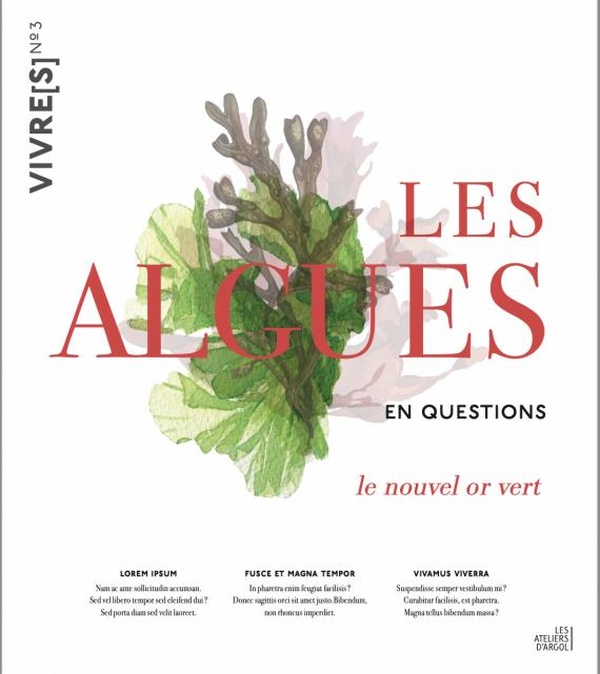 LES ALGUES EN QUESTIONS - LE NOUVEL OR VERT