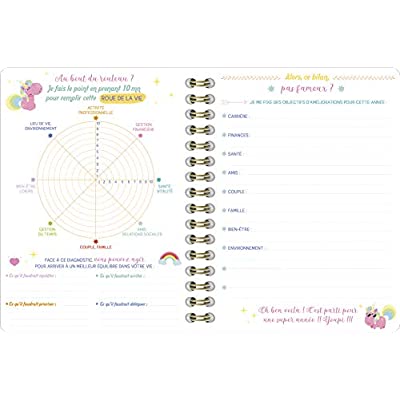 Agenda pour working maman au bout du rouleau. De septembre 2020 à décembre 2021, Edition 2020-2021