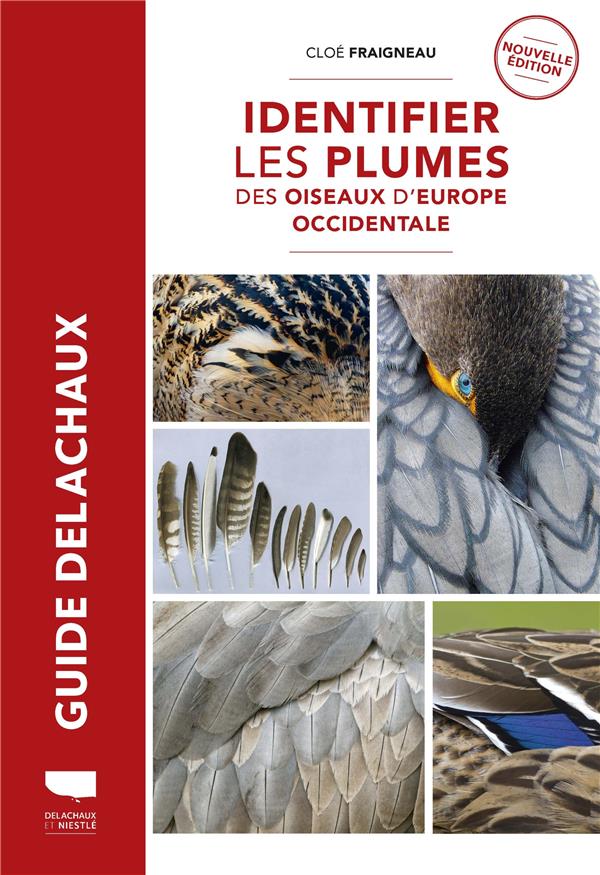 Identifier les plumes des oiseaux d'Europe occidentale