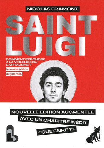Saint Luigi. Comment répondre à la violence du capitalisme ? Edition revue et augmentée