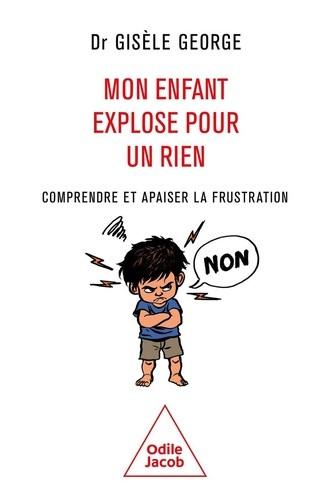 Mon enfant explose pour un rien. Comprendre et apaiser la frustration
