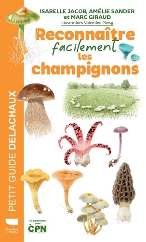 Reconnaître facilement les champignons